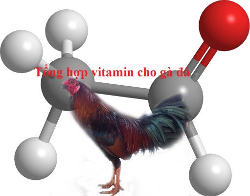 vitamin cho gà đá