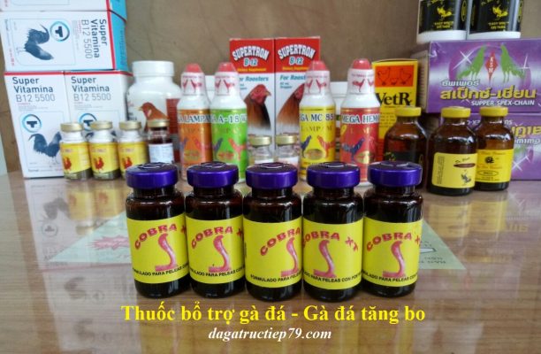 thuốc bổ trợ gà đá