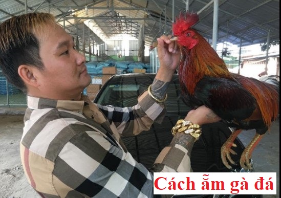 Ẵm gà đá